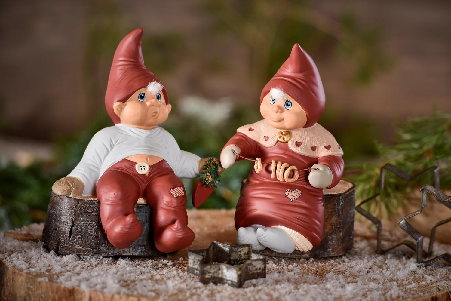 Merle nisse